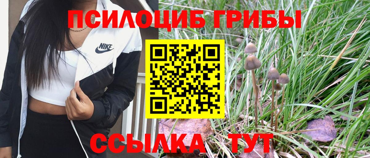 Галлюциногенные грибы Psilocybe  купить наркоту  Мелеуз  Вход с VPN 